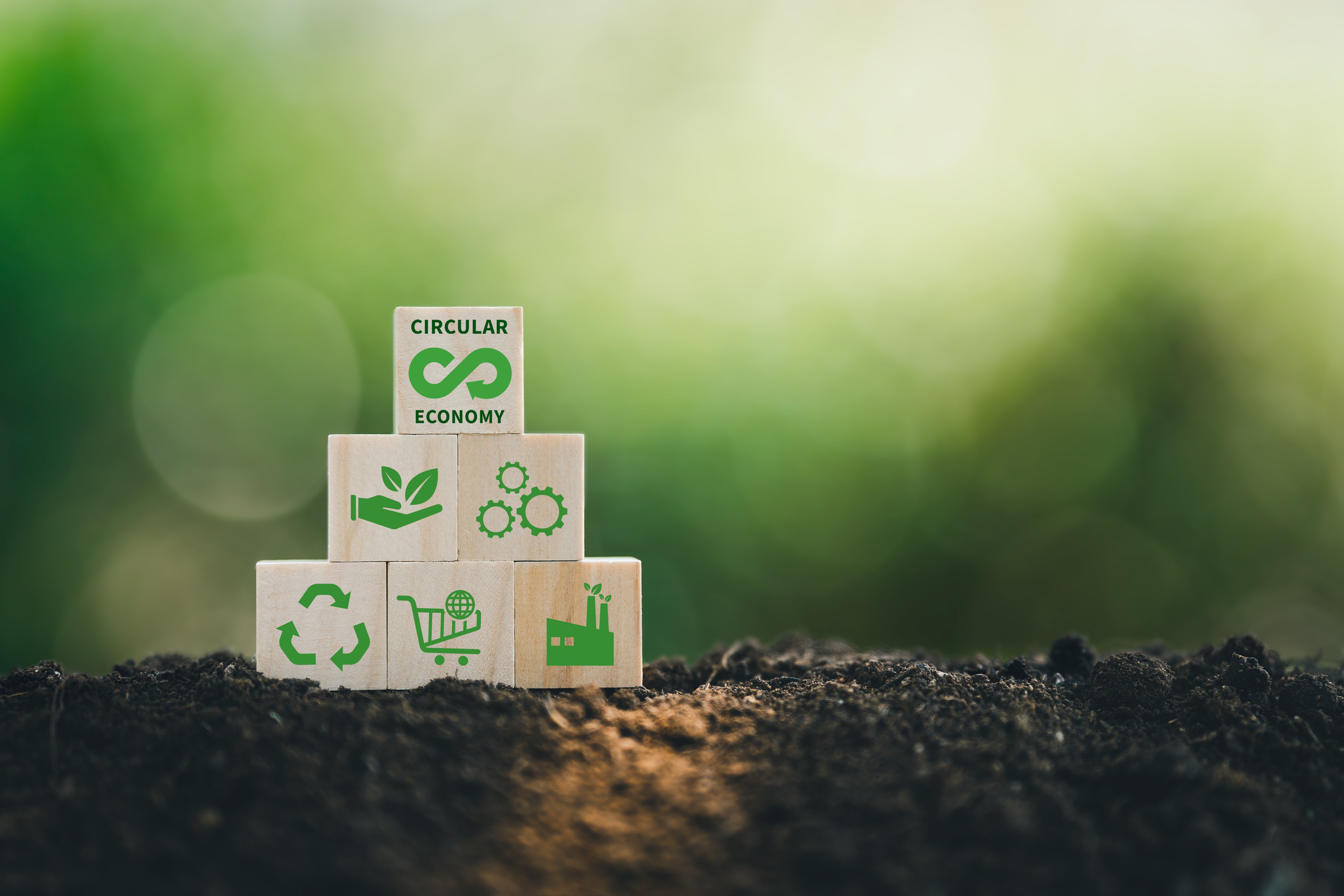Sustainability 1 - iStock-1443471550
